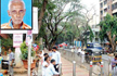 Mumbai: 82-yr-old dies of heart attack after tree branch falls next to him